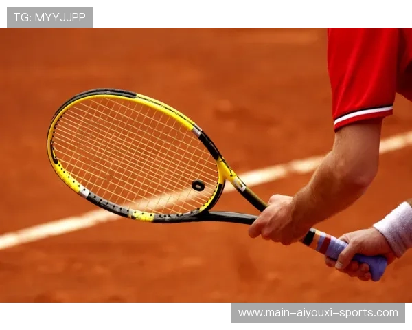 网球运动员体能监测与分析