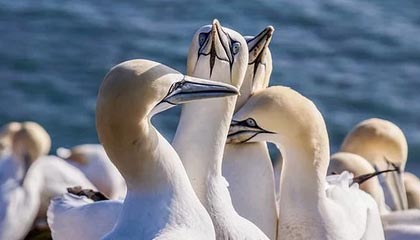 爱游戏在线登录-杨瀚森不断挑战自我突破身体极限，杨瀚森 篮球